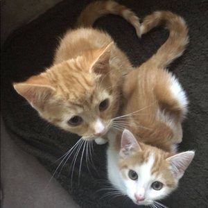 Meet your Posher, Perla